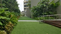 Seventy Saint Patrick's (D15), Condominium #139450012
